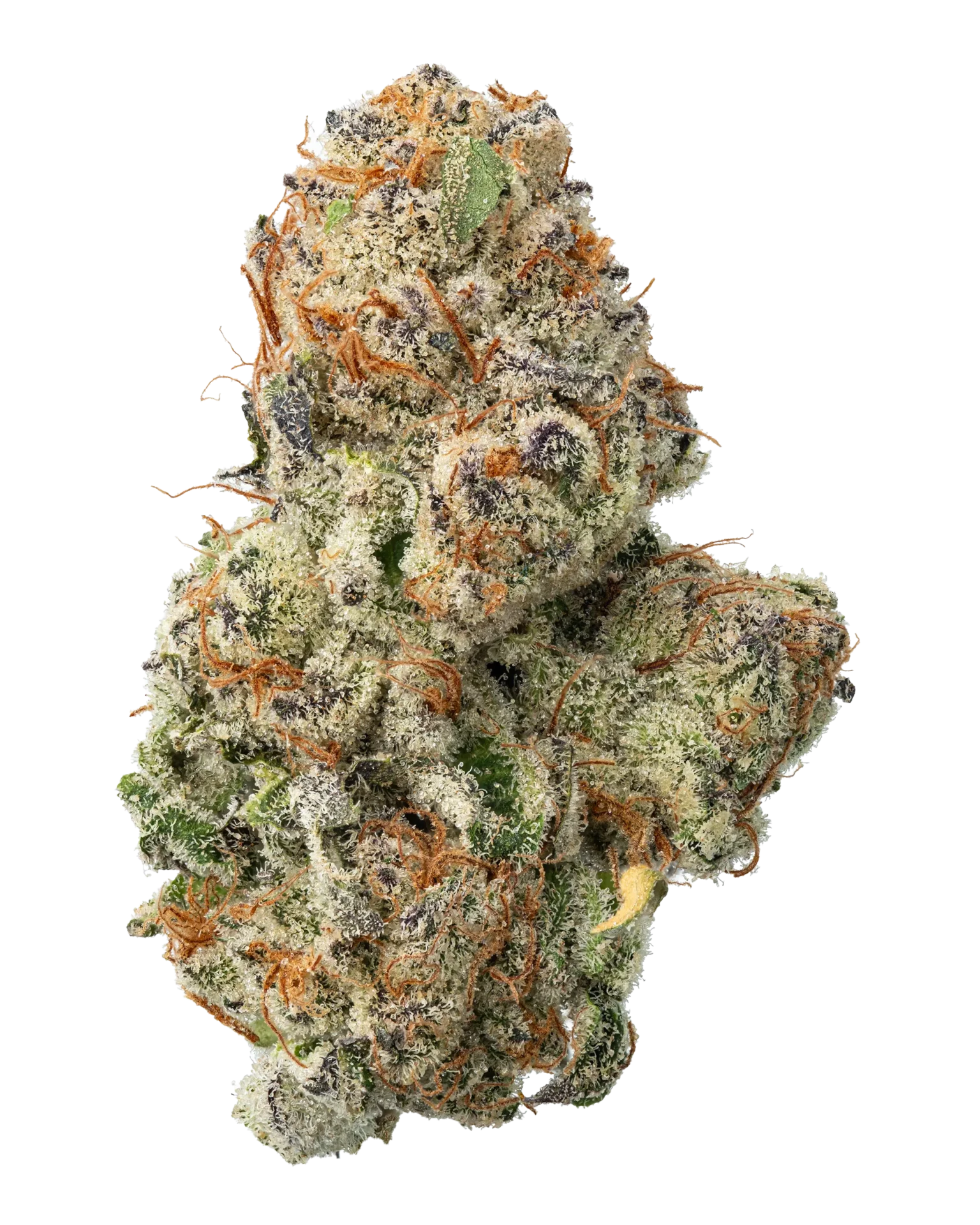 White Widow Strain UK
