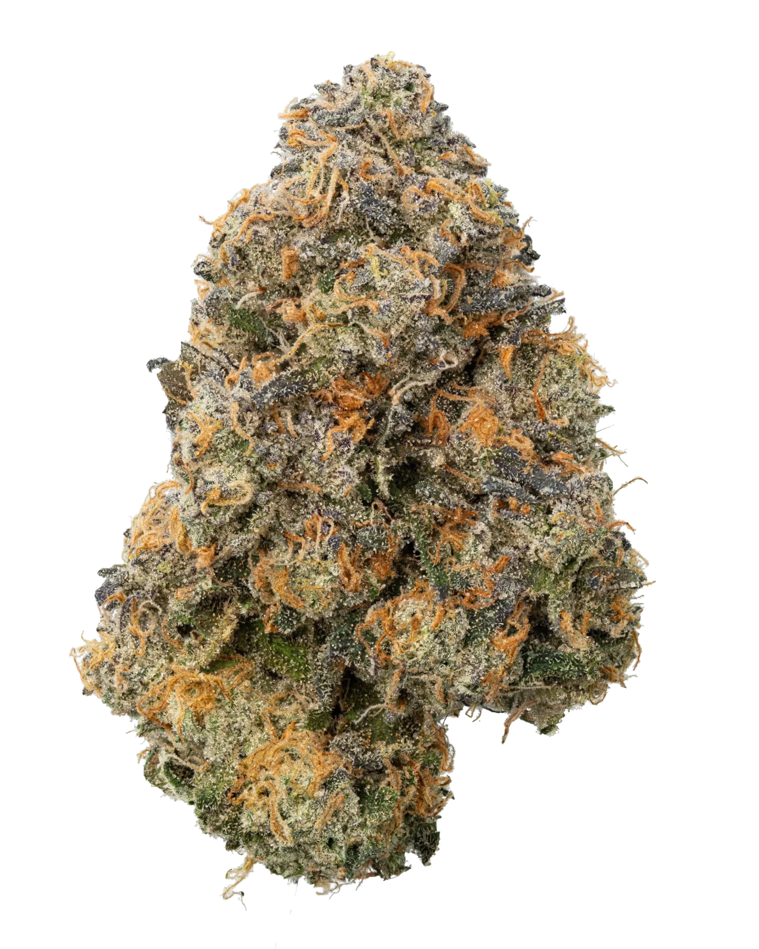 Think Tank Strain UK