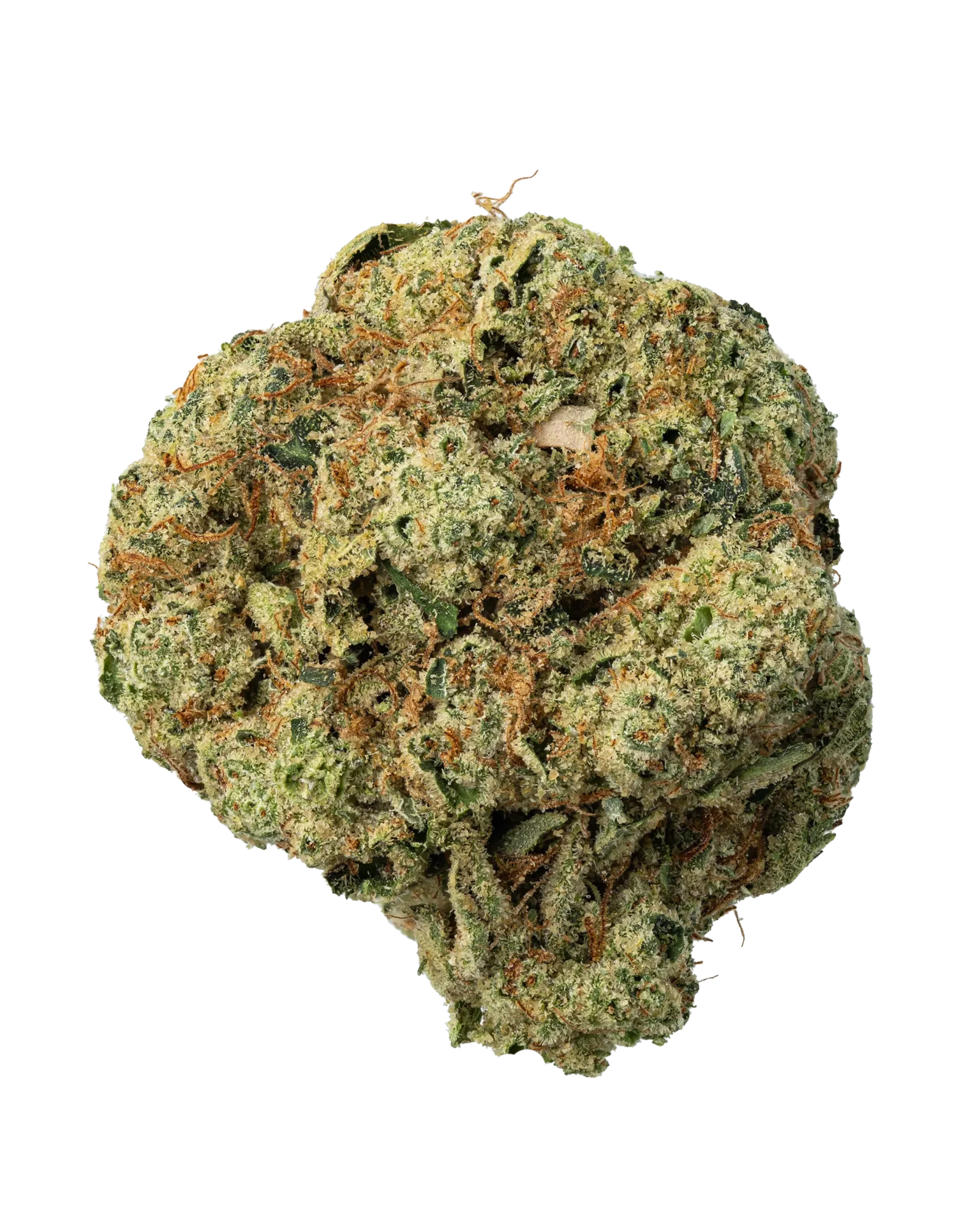 Garlic Blossom Strain UK