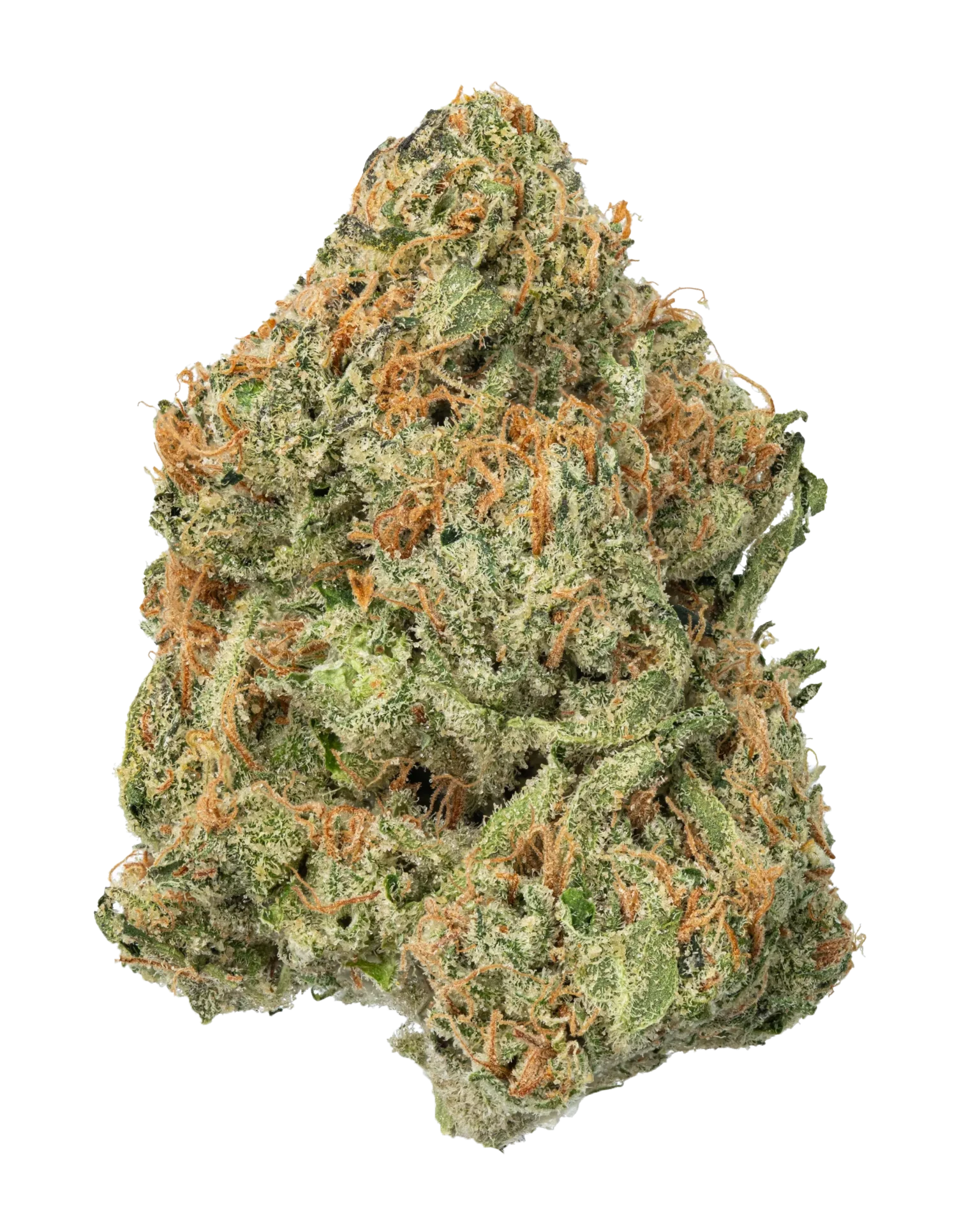 Cherry Marker Strain UK