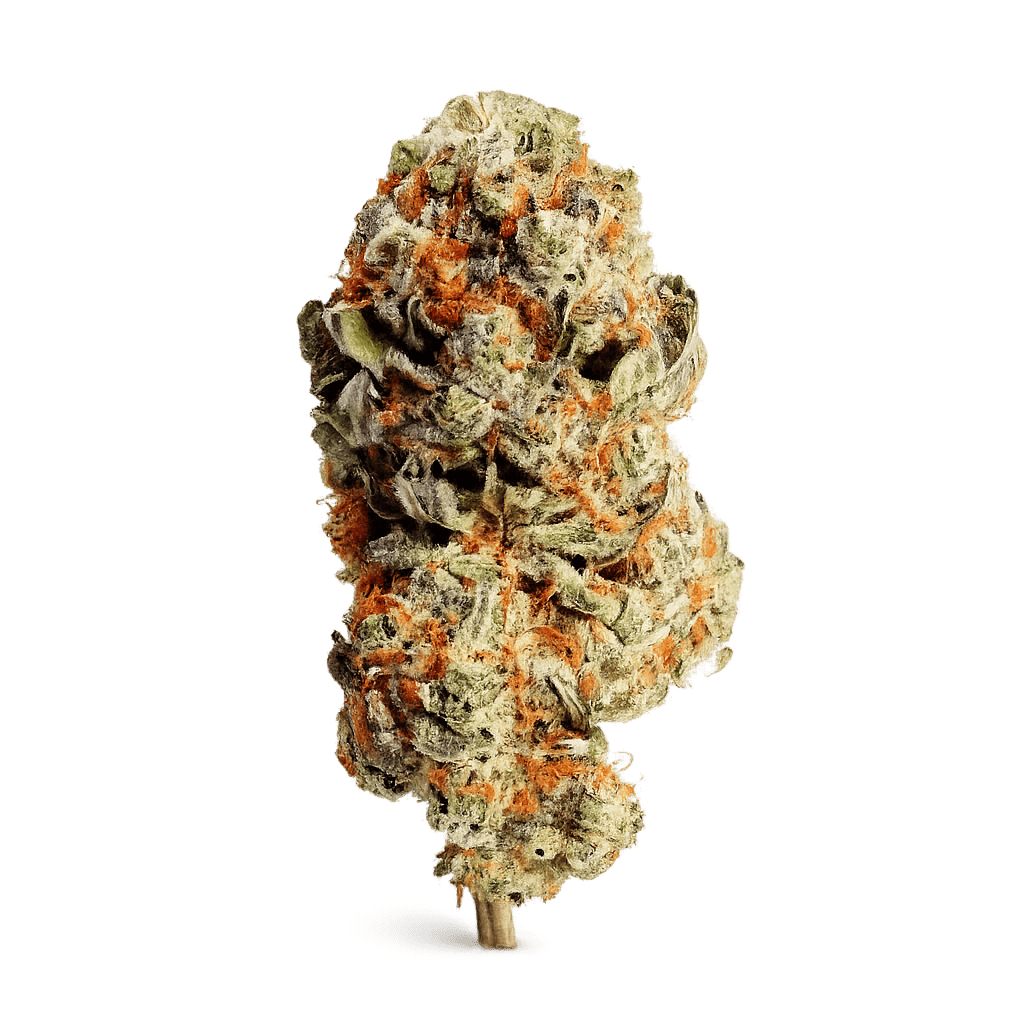 Cheddar Cheese Strain UK