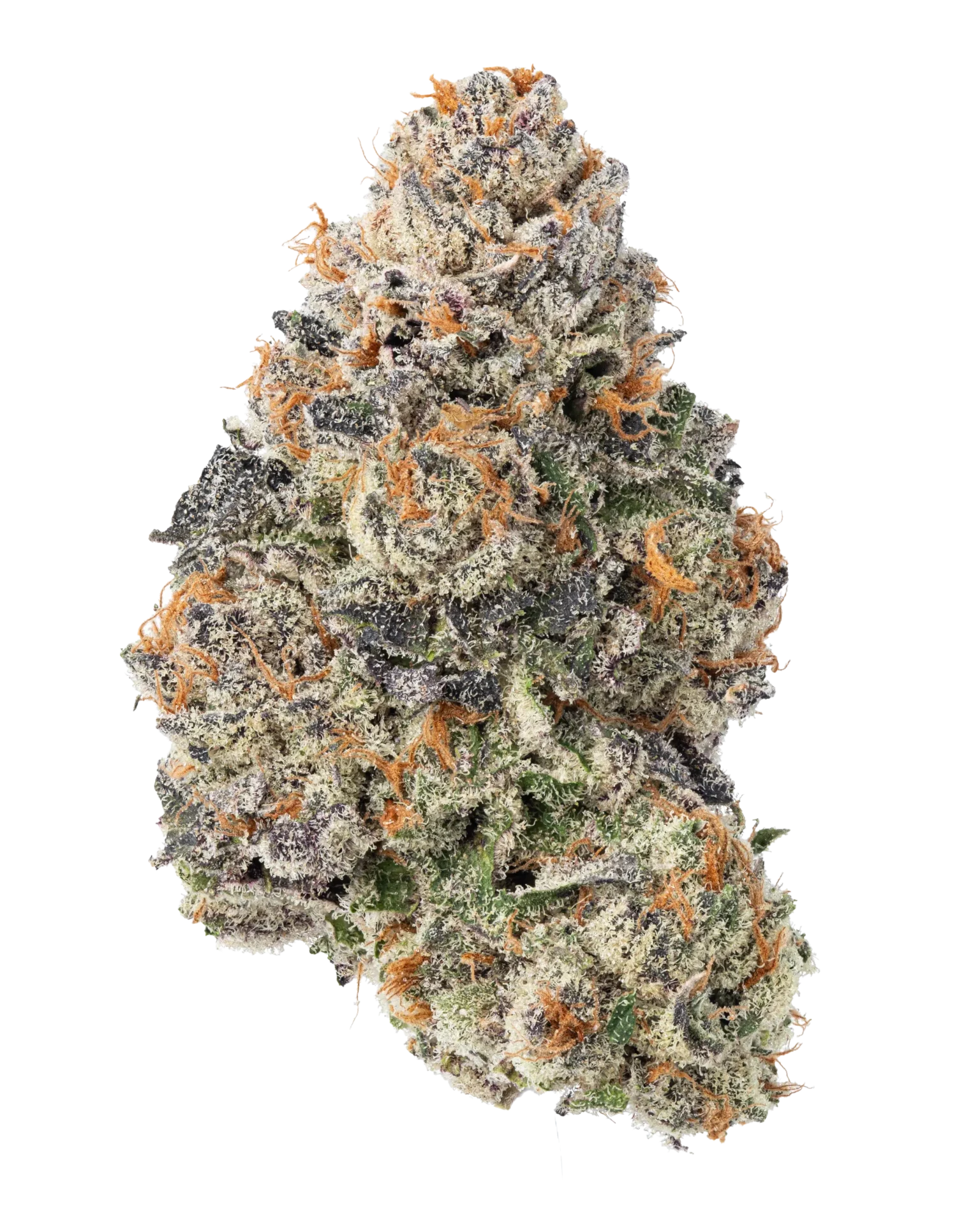 Gorilla Cookies Strain UK