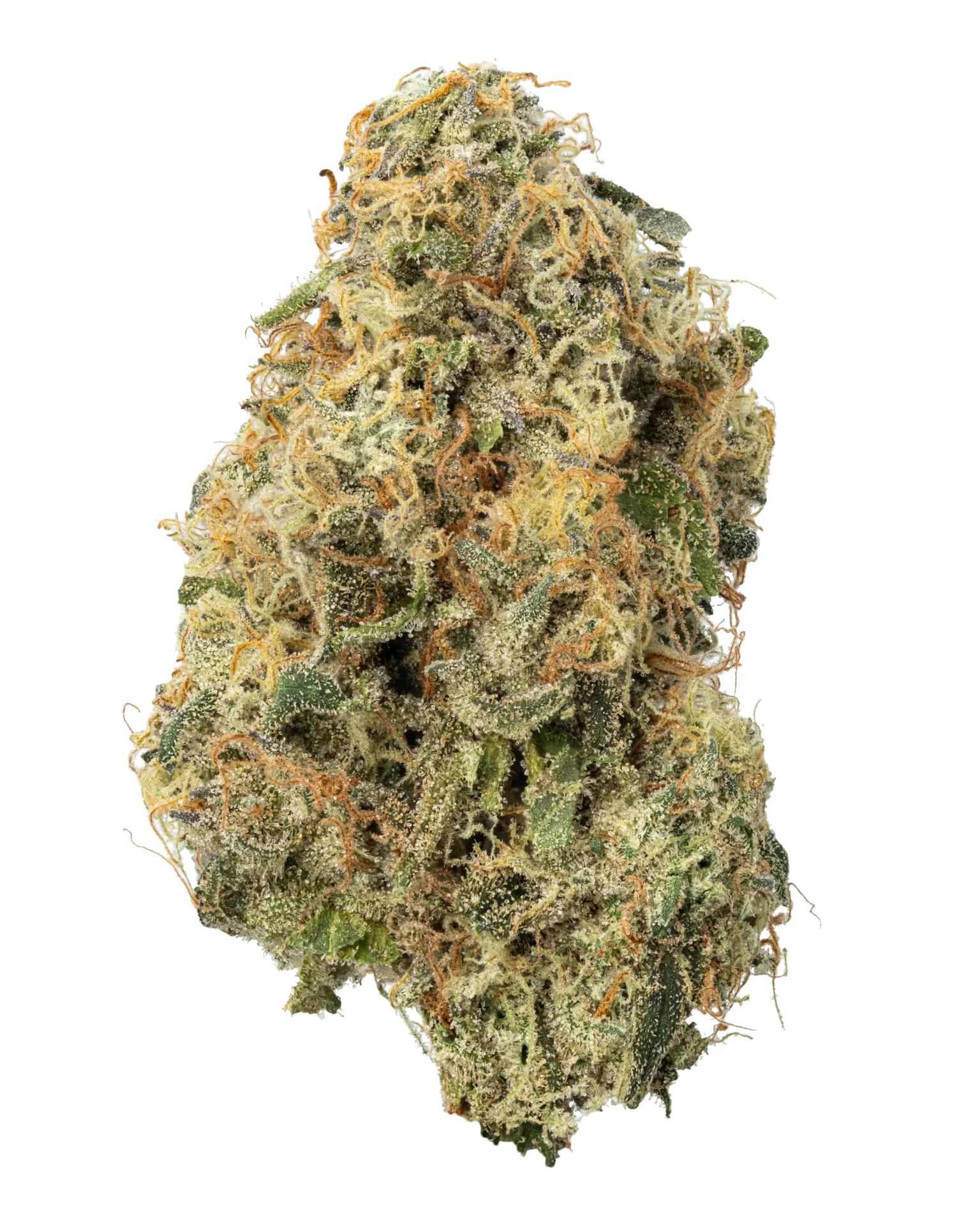 Vin Diesel Strain UK