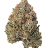 Lemon Haze Strain UK