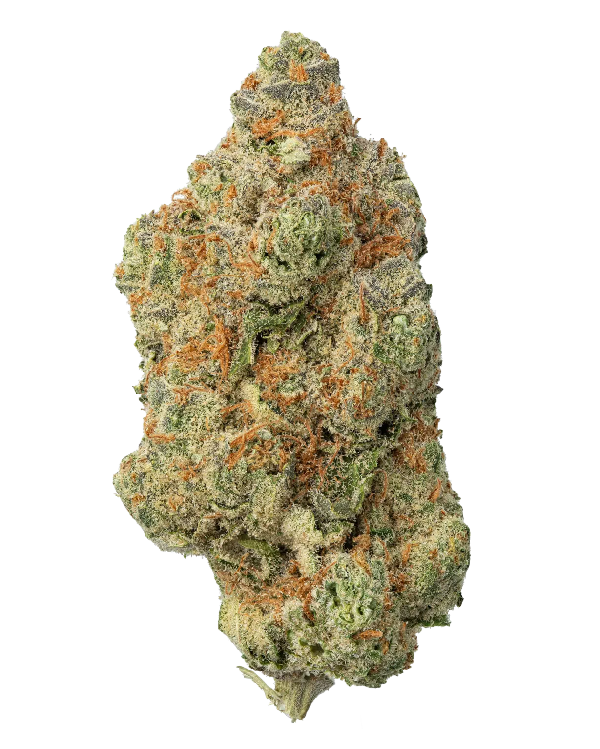 Amnesia Haze Strain UK