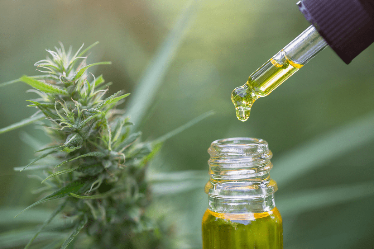Cannabis Oil in the UK: Benefits, Types & How to Use